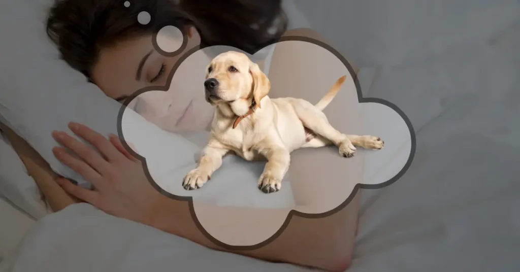 Dog in dreams interpretation