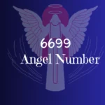 6699 Angel Number