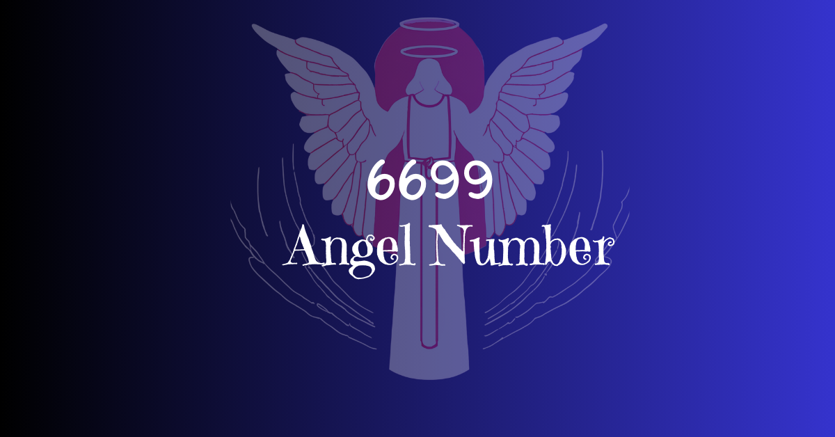 6699 Angel Number