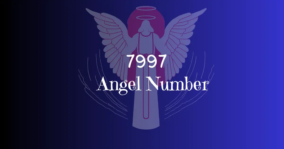 7997 Angel Number