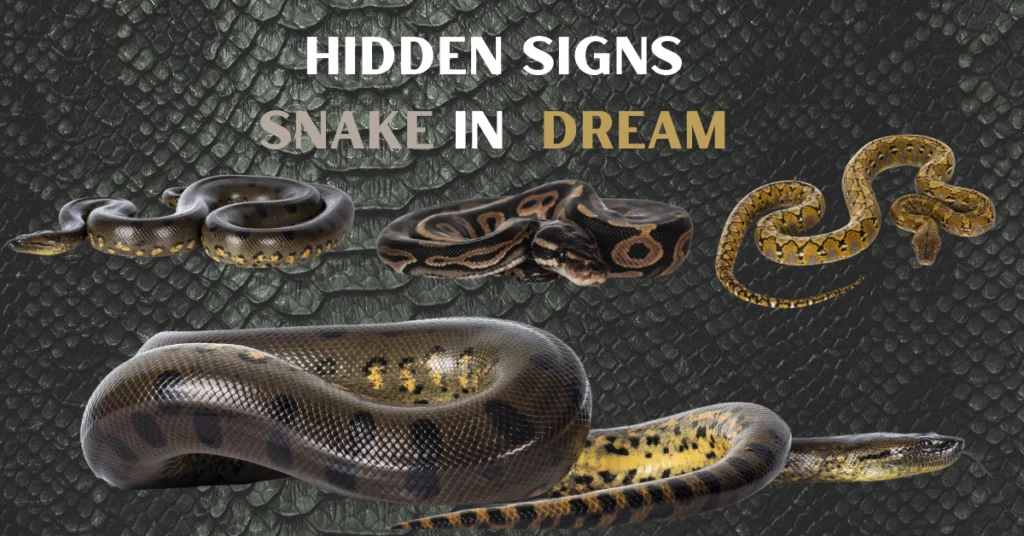 Snakes In Dream | Disclosing Hidden Signs - Dream Cano