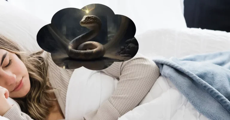 snakes in dream