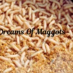 Dreams Of Maggots