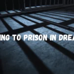 goint-to-prison-in-dream