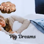 Pig Dreams