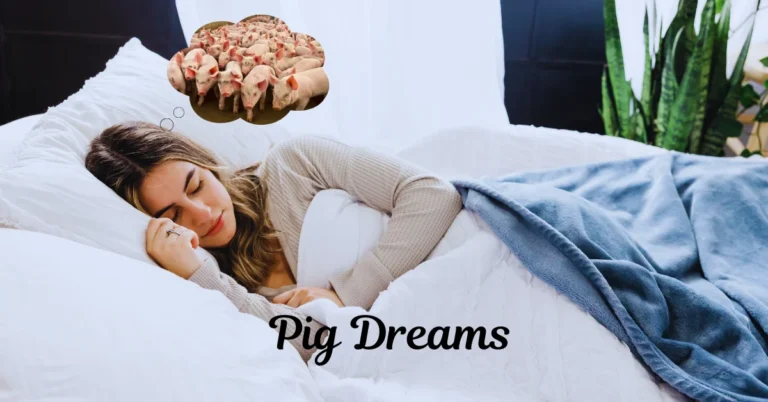 Pig Dreams