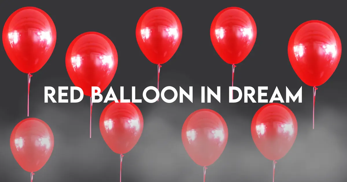 Red Balloon In Dream