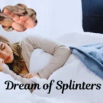 dream of splinter