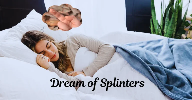 dream of splinter