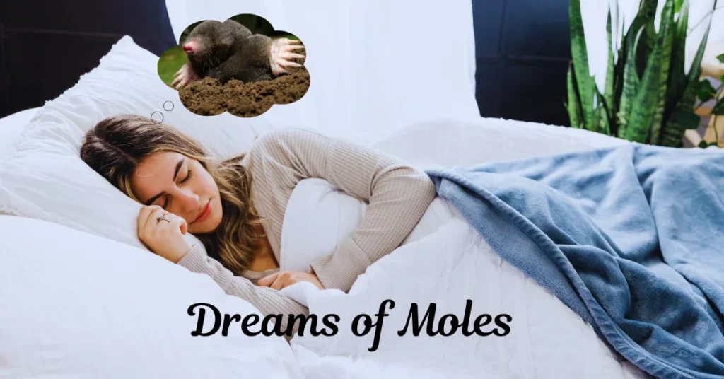 dreams of moles