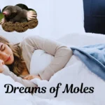 dreams of moles