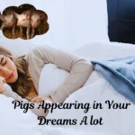 Pigs in dreams