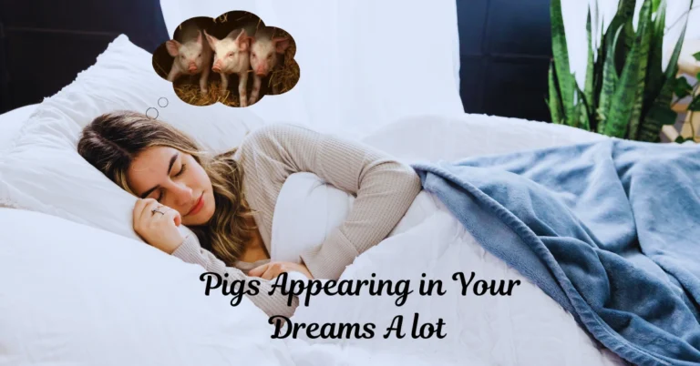 Pigs in dreams