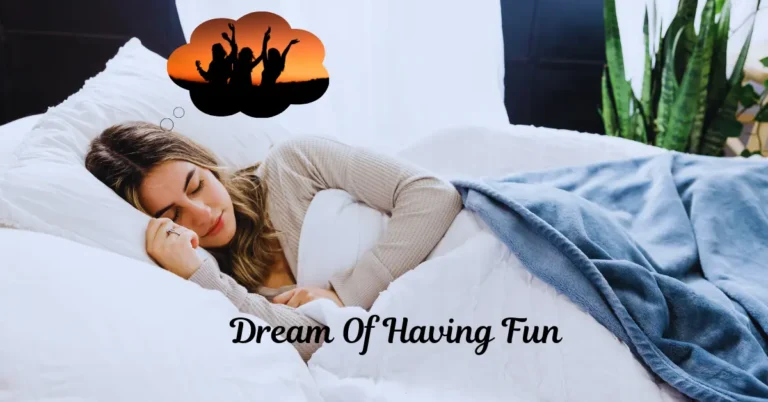 dream of having fun