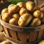 Dreaming of Potatoes