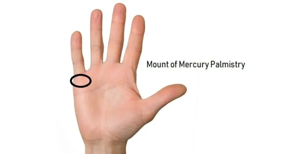 Mount of Mercury Palmistry – Reading and Meaning