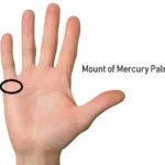 Mount of Mercury Palmistry – Reading and Meaning