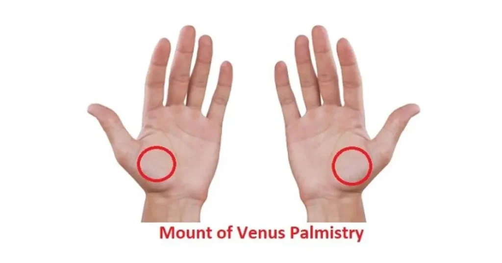 Mount of Venus Palmistry – Reading and Meaning