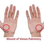 Mount of Venus Palmistry – Reading and Meaning