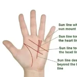 Sun Line Palmistry – Reading and Meaning