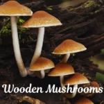 Wooden Mushrooms