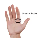 Mount of Jupiter Palmistry