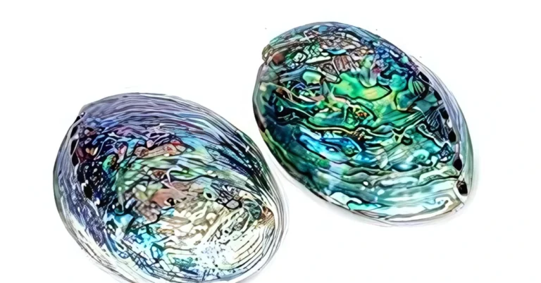 Abalone Shell Meaning