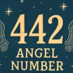 442 Angel Number
