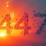 447 Angel Number