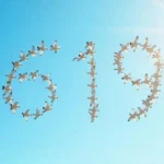619 Angel Number